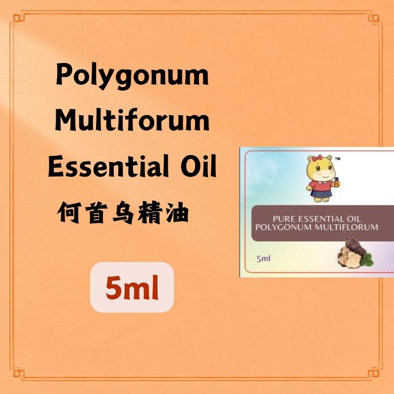 Polygonum Multiflorum Essential Oil 何首乌精油 5ml.(Austral