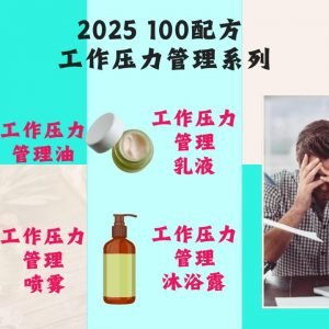 2025 100配方 工作压力管理系列 Work Stress Management Series